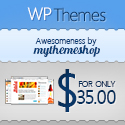 Themes Wordpress Responsive
