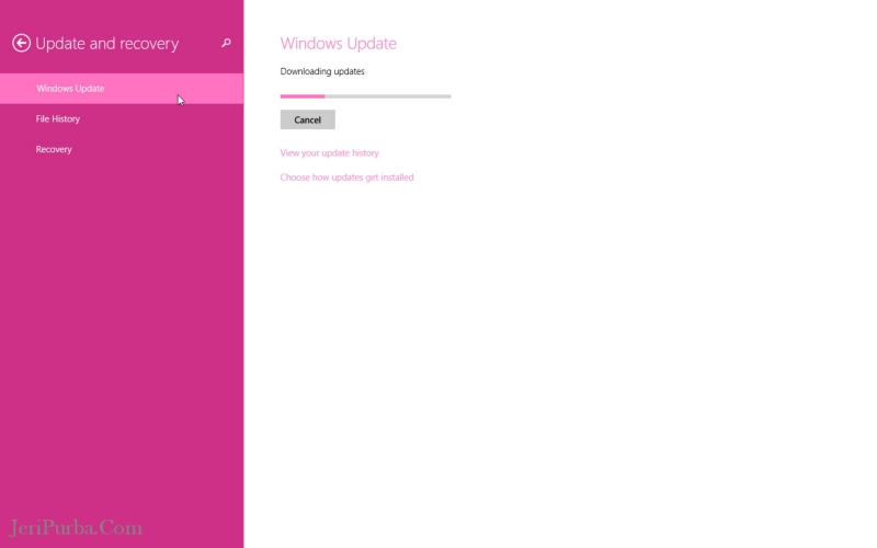 Download Windows 8.1 Update
